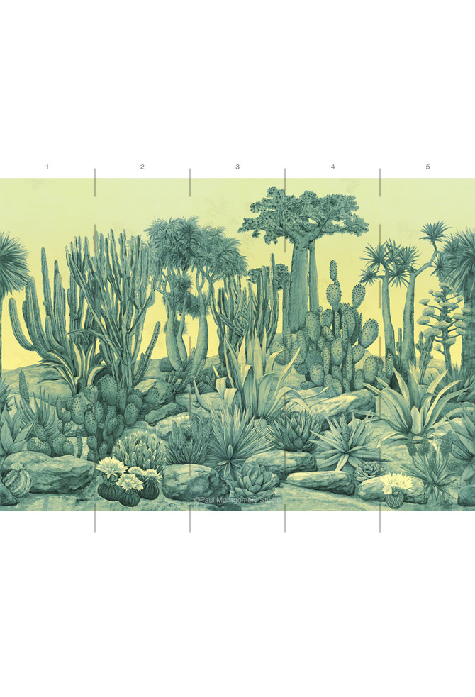 Desert Garden, printed mural wallpaper by Paul Montgomery. Aqua panel layout.