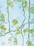 Vigne, printed mural wallpaper by Paul Montgomery. Full color detail shot.