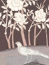 Birds of Flight, printed mural wallpaper by Paul Montgomery. Umber detail shot.