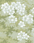 English Garden, printed mural wallpaper by Ariel Okin for Paul Montgomery. Up-close detail shot.