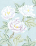 Imperial Garden Mist, printed mural wallpaper by Paul Montgomery. Detail shot.