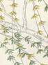 Kimono, printed mural wallpaper by Paul Montgomery. Up-close detail shot.