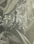 Paradiso Silver, printed mural wallpaper by Paul Montgomery. Up-close detail shot.