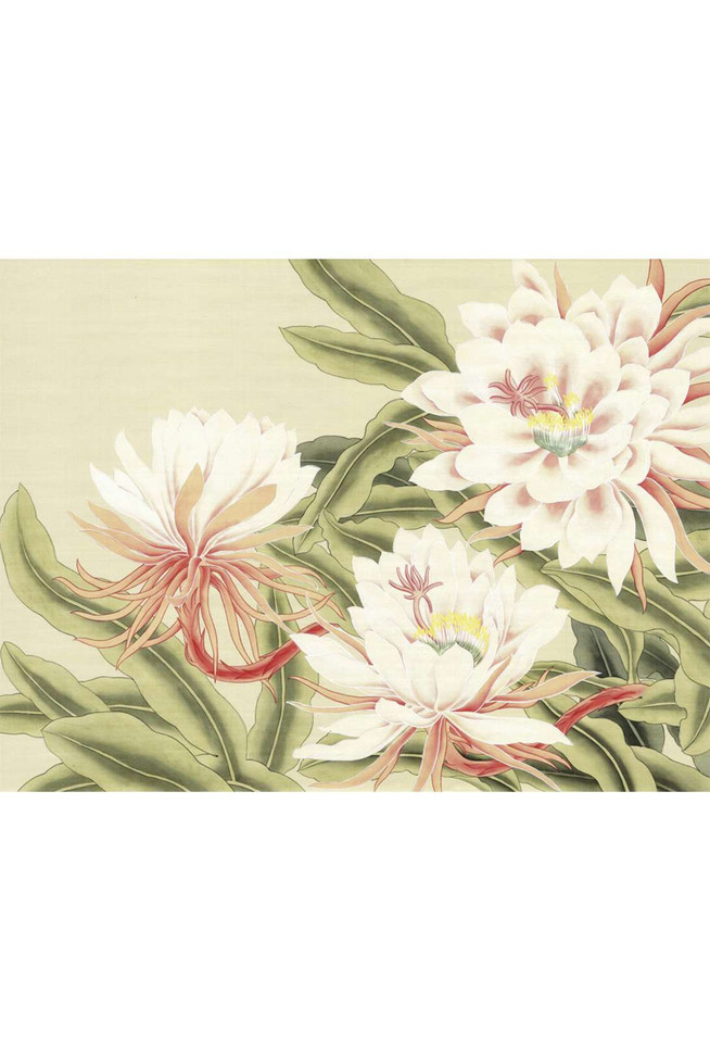 Cereus | The Mural Source by Paul Montgomery