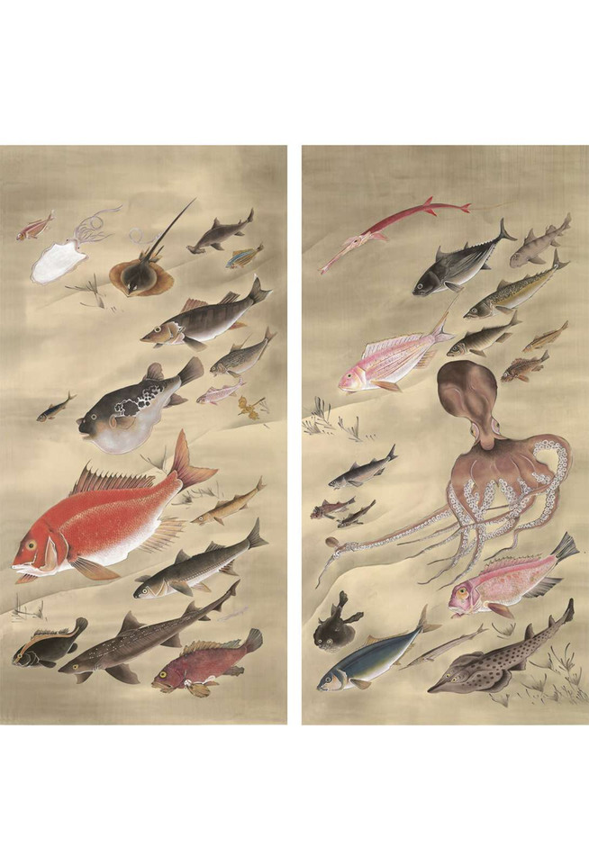 Fish & Sea Life | The Mural Source by Paul Montgomery