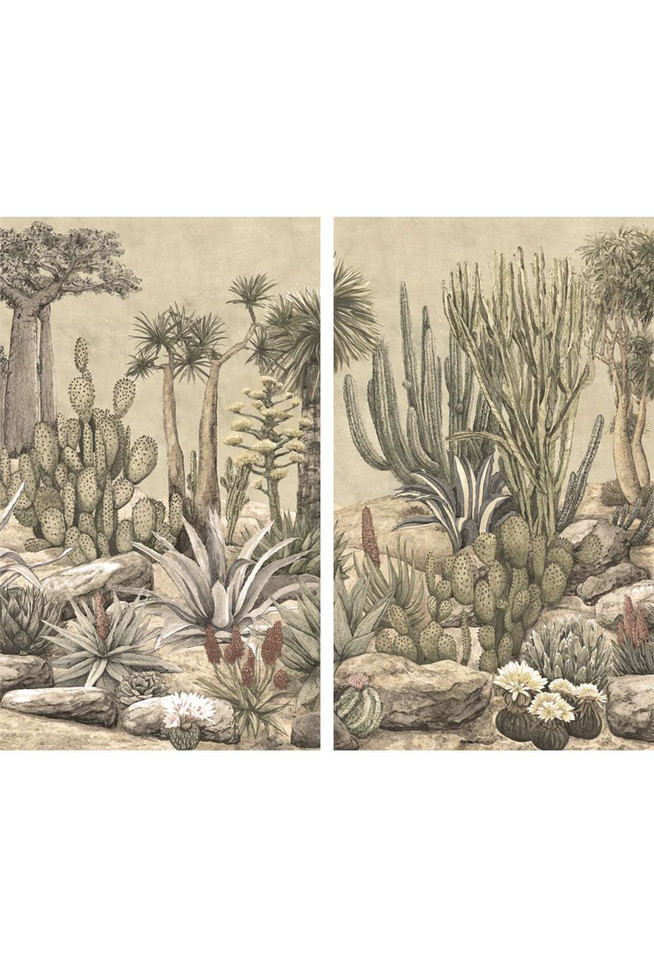 Cactus Garden | The Mural Source by Paul Montgomery