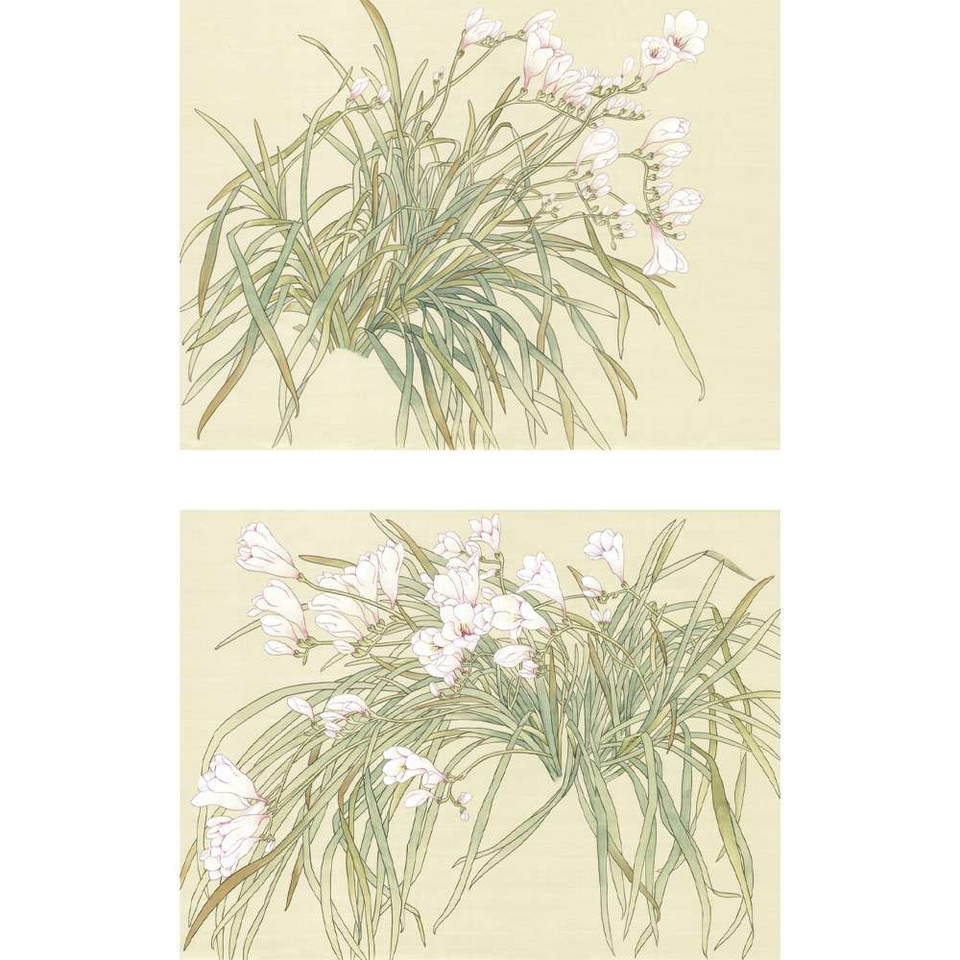 Freesias | The Mural Source by Paul Montgomery