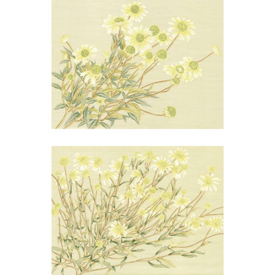 Daisies | The Mural Source by Paul Montgomery