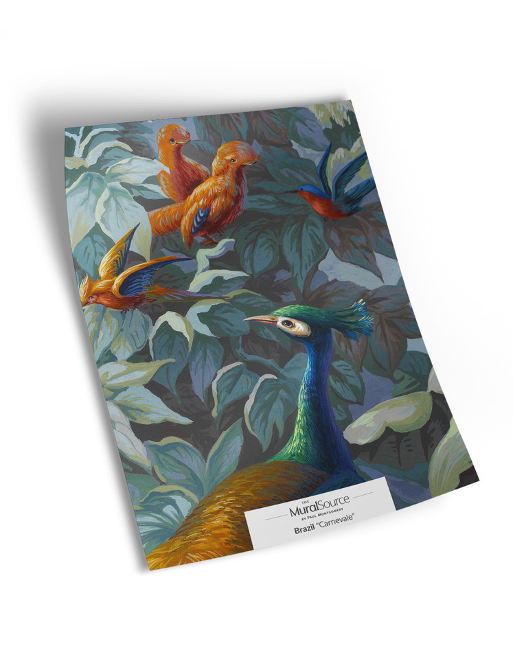 10" x 13" sample of Brazil; full color panoramic