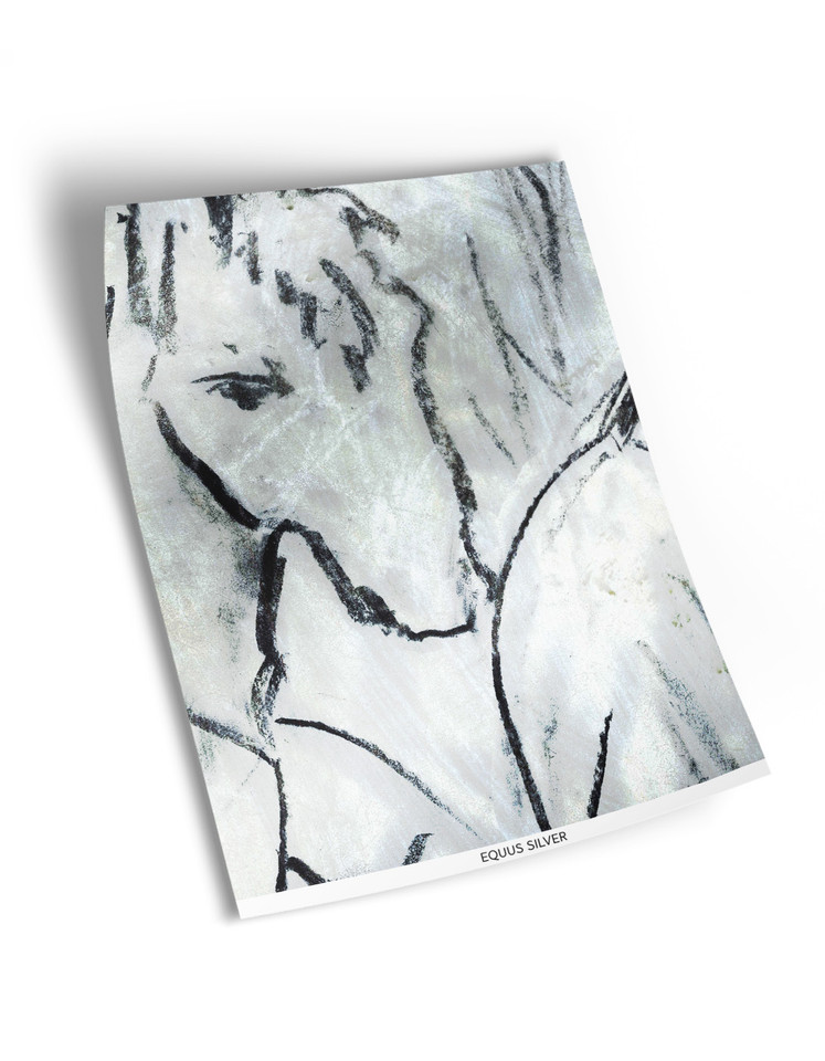 Equus Silver Sample