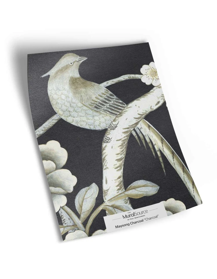 Maysong Charcoal Sample | The Mural Source by Paul Montgomery