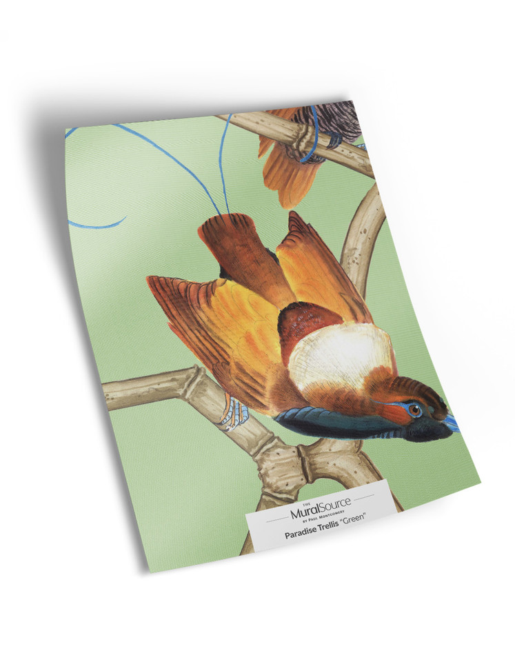 10" x 13" sample of Paradise Trellis; green modern mural