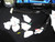 LOT: Given Imaging DataRecording 2C Set DR2C Recorders, Docks, Cables, Cases