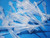 1000 PIPETTE TIPS 10 uL for Oxford SV Series Pipets 1ul 2ul 3ul 4ul 5ul Natural