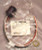 TURCK Powerfast Male Receptacle 600V,20A GSF 42-0.3M/14.5/NPT for 4-pin cordsets