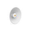 4.9-6.4 GHz Modular Twist-on Antenna, 250mm Dish for C5x only