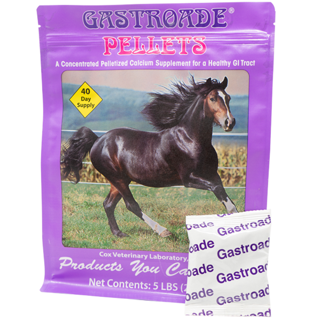 Gastroade Pellets for Horses EzeGo Pack