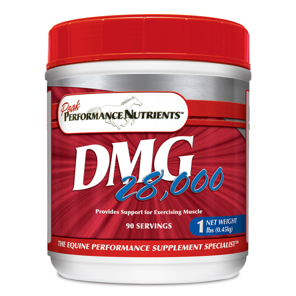 DMG 28000™ 1 lbs