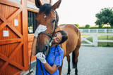 Five Great Topical Products for Horse Treatments Five Great Topical Products for Horse Treatments