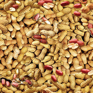 In-Shell Peanuts Natural In-Shell Peanuts Natural