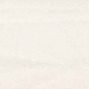 Bleached White Muslin - 118" Wide