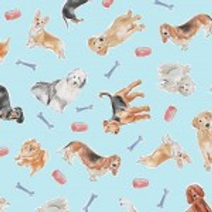 Stay Pawsitive Play Time Blue Stay Pawsitive Play Time Blue