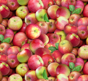 Apple - Food Festival Apple - Food Festival