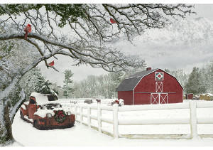 Winter Barn Panel - 42 1/2” x 29 1/2”