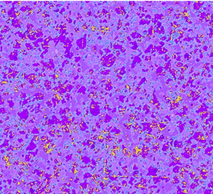 Holiday Gala Lavendar