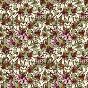 Coneflower Corral Echinacea Olive