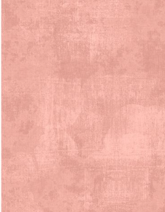 Essentials Dry Brush - Peach