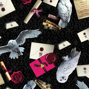 Harry Potter Owl Postal Service Black