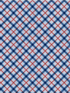 Founding Glory - Plaid - Blue