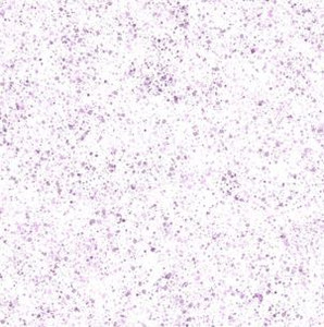 Paint Pop - White Purple