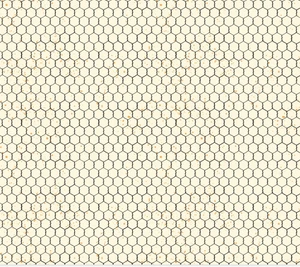 Homesteading Chicken Wire - Cream