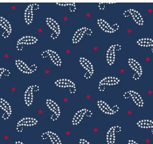 Americana Paisley - Blue