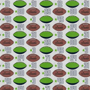 Evergreen Endzone Seattle Footballs