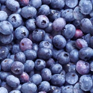Blueberry - Berry Good Blueberry - Berry Good