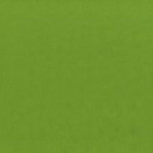Cotton Couture Solids- Meadow