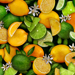 Fresh-Lemons & Limes-SG