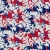 Field of Freedom - New England The Champions Are Coming