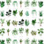 Potpourri - Plant Names