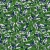 Evergreen Endzone - Seattle Player Toss