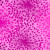 Dandelion Dreams 108" Wide - Pink