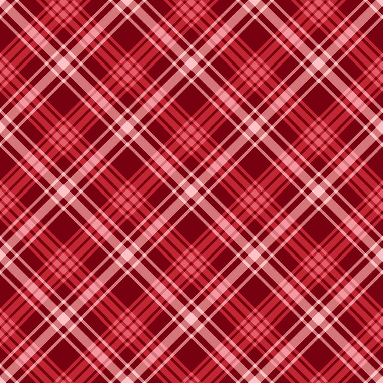 Winter's Eve Diagonal Plaid Red