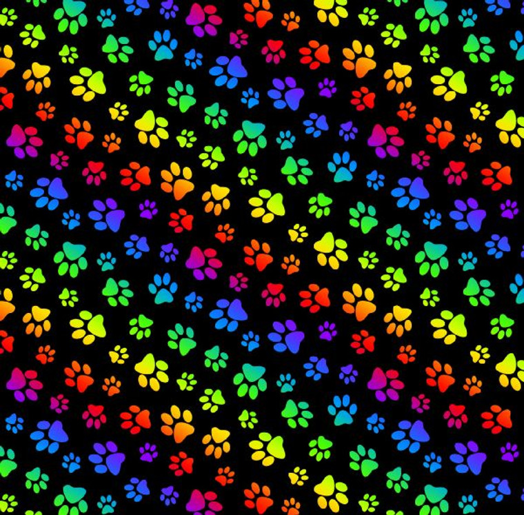 Rainbow Collection Paws on Black
