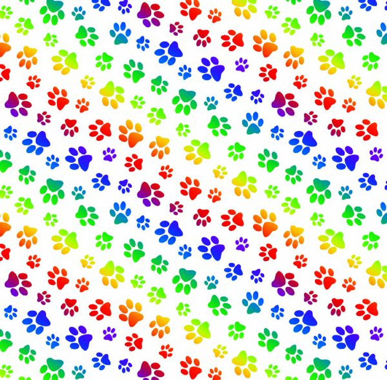 Rainbow Collection Paws on White
