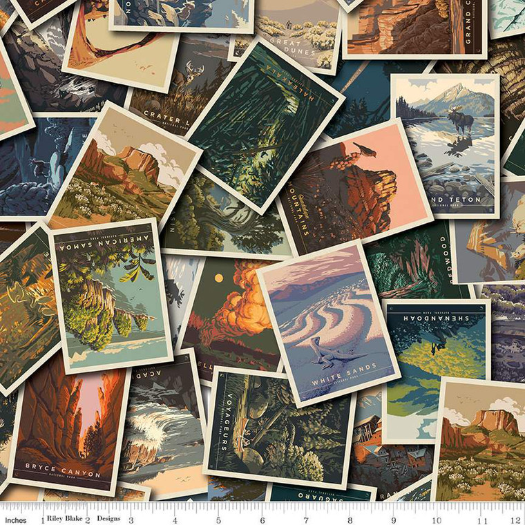 National Parks Postcards Toss Multi