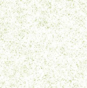 Paint Pop - White/Army Green