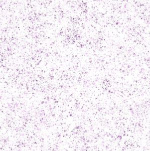 Paint Pop - White Purple